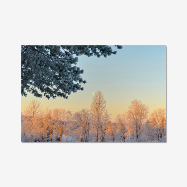 Arctic Daytime Moon - Sweden