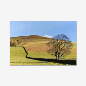 Stone Wall in the Peaks - England, U.K